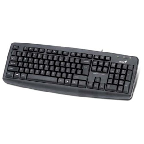 GENIUS klávesnice KB-110X, USB, CZ+SK black (černá)