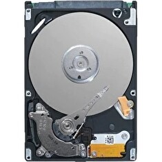 Dell/2 TB/HDD/SAS