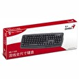 Genius klávesnice KB-110X/ Drátová/ USB/ černá/ CZ+SK layout