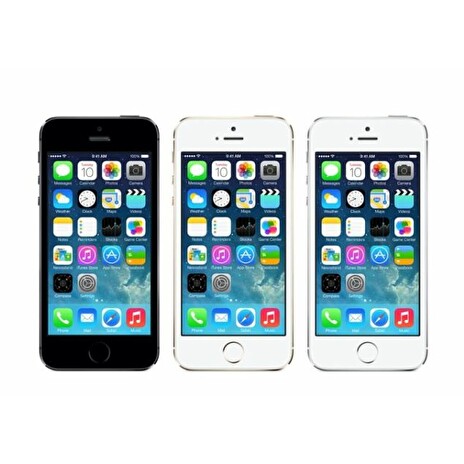 Apple iPhone 5S 16GB - šedý
