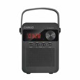 CARNEO F90 FM rádio, BT reproduktor, black/wood