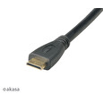 Akasa - HDMI na mini HDMI adaptér - 25 cm
