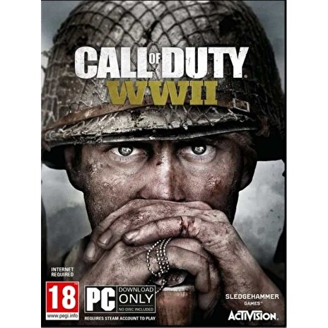 Call of Duty WWII (14) PC EN